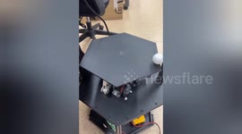 Rolling Ball Controlled by Robert very well balanced