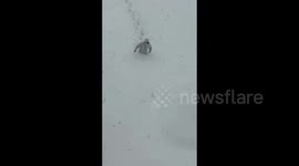 An extreme snowstorm sweeps in Weihai, China