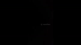 My old dog Bruin lives to wake me up at 3am claiming to have to pee and this is how I find him !