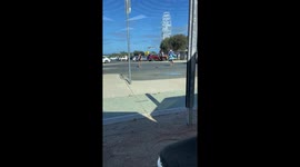 Guy Rescues a Small Penguin in the Middle a Road