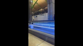 Boys row down moving sidewalk on Madrid trip with school director