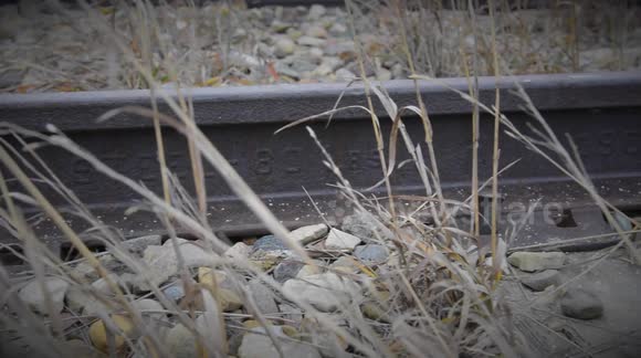 1906 Rails of Southern Alberta