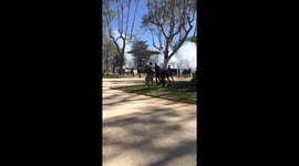 Students flee tear gas in Montpellier, France labour protests