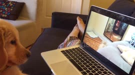 Bowie sees video of himself playing with his reflection