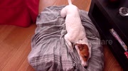 temp