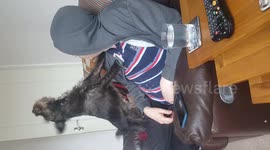 DUPLICATE This dog howls like a wolf