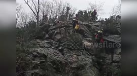 Firefighters Rescue Goat Trapped in Ravine in Multedo