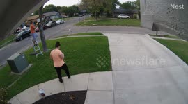 Man knocked off ladder after tree branch swings around trunk