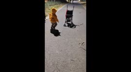 2-year-old Wu Duoduo ingeniously crawls into stroller for a ride