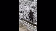 temp