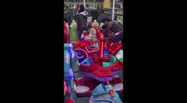 Playful pup takes a joyful swing in Parañaque