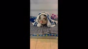 temp