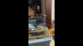 Corgi looks confused as owner uses cage as makeshift barbecue grill