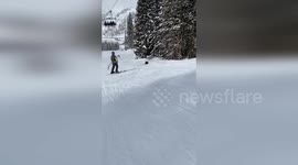 Porcupine wanders across ski slopes in Utah