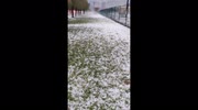 temp