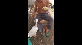 The Moment When the Goose asks for Food From Man who Is Going To Eat