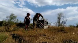 Release of a griffon vulture after its recovery in an avian fauna center in Extremadura