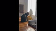 temp