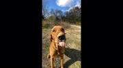 temp