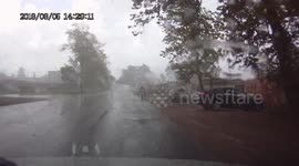 Huge Tree Falls over Road in Storm