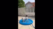 temp