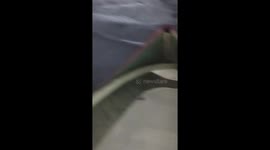 Isolated island camper captures intense lightning storm in Esquina, Argentina