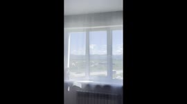 Cat Walks In The Ceiling