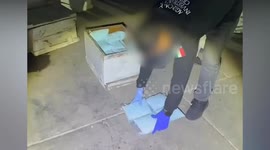 1.2 million fentanyl pills were found hidden in beehives in Sinaloa, Mexico