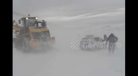 Over 600,000 livestock die in cold winter in Mongolia