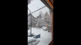 Snowplow Squirrel Cleans Powerlines