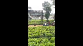 Off-road hilarity in Bandung: UTV joyride takes an unexpected bushy detour