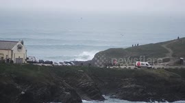 Harbour Porpoise feeding at The Gazzle, Newquay Bay, Cornwall, UK