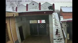 Chinese Student Slides Off Roof While Clearing Snow Because of Dog's Disturbance