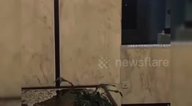 Iraqi Airport Terminal Suffers Rainwater Leakage in Basrah