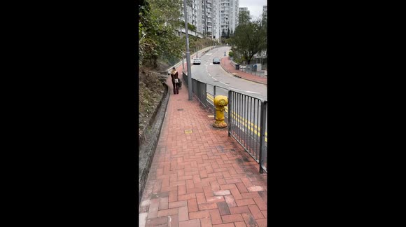 A gentle boar and an English bulldog sniff each other in Hong Kong street