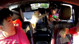 Boy teases wild monkey...  before it climbs in car and steals his food