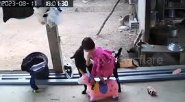 Playful toddler tries to ride on back of dog and toy unicorn