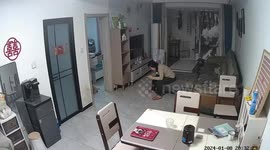 Dog offers comfort to the woman in Hebei, China