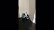 temp