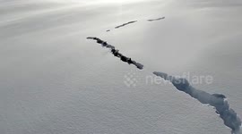 Drone footage reveals rare sight of wolf pack navigating snowy landscape in northwestern China