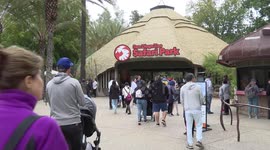 Year of Dragon celebration held in U.S. wildlife park