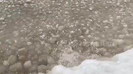 Thousands of floating ice balls line surface of Lake Erie