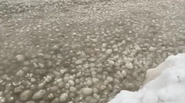Ice Balls Forms On Lake Erie In Crystal Beach, Ontario