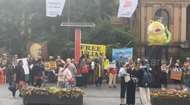 Julian Assange protest outside Sydney Town Hall as extradition hearing begins