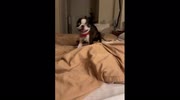 temp