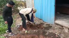 Brave rescuer pulls 7-foot-long cobra out of ground in India