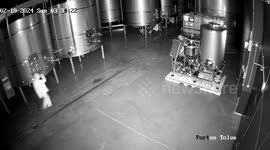 Man breaks into winery and pours away more than £2M worth of luxury wine