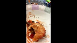 Eww Alert: Fly lands and leaves unwelcome POO-resent on plate