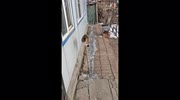 temp