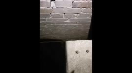 Moment woman who spent 3 days trapped in basement is rescued in Russia